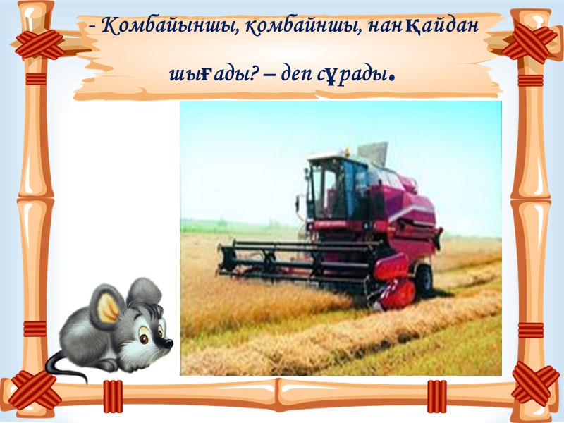 - Комбайыншы, комбайншы, нан қайдан  шығады? – деп сұрады.